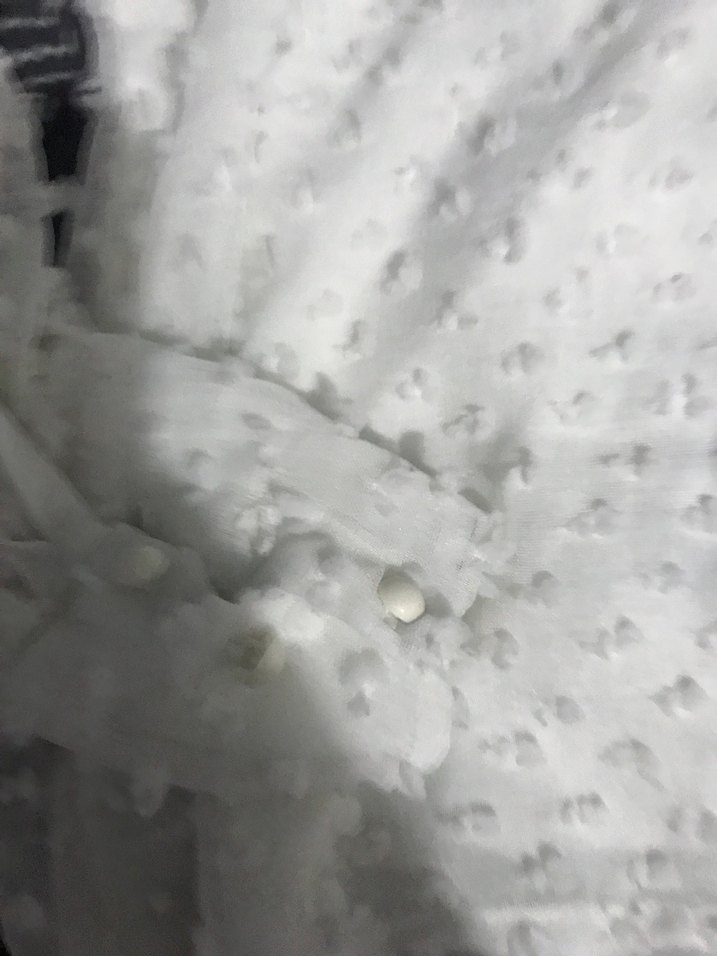 Beyaz Uzun Kollu Beyaz puantiye kolları tül  Kadın Bluz - Görsel 2