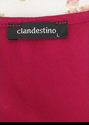 Bordo Clandestino