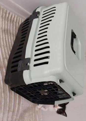 Gri-Beyaz Plastik Taşıma Kabı - Görsel 2