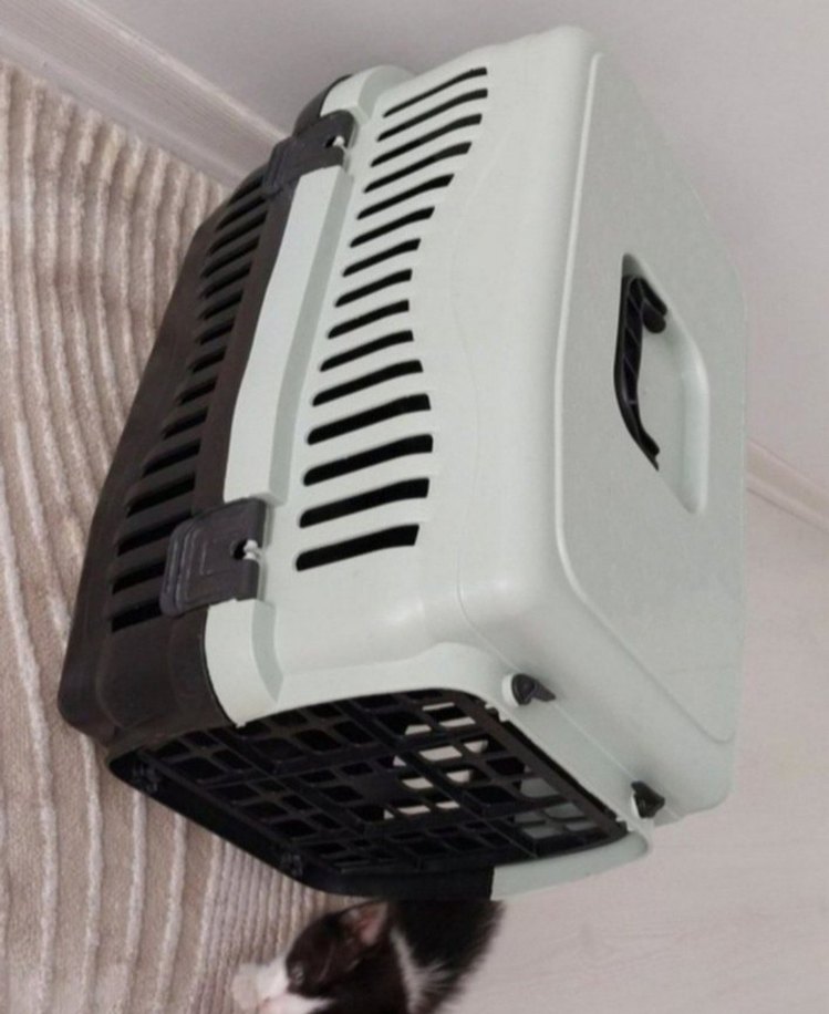 Gri-Beyaz Plastik Taşıma Kabı - Görsel 5