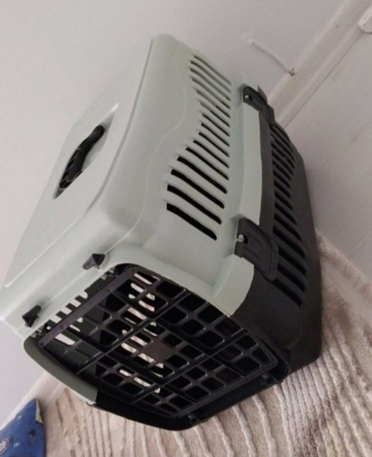 Gri-Beyaz Plastik Taşıma Kabı - Görsel 3