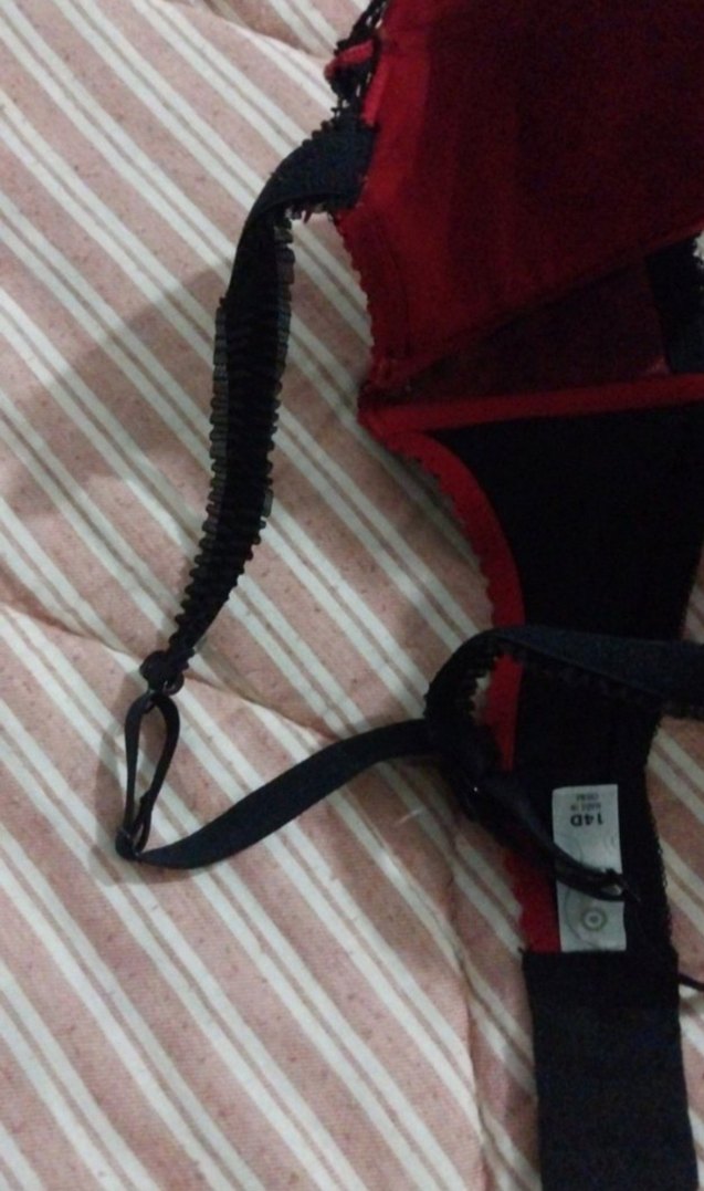 Bordo Gotik Dantel Desenli Sütyen - Görsel 5