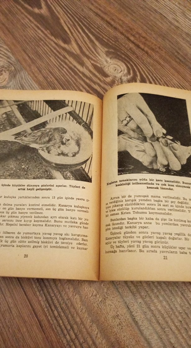 1960 Kanarya Kitabı - Münir Hayri Egeli - Görsel 4