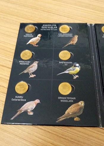 Anadoluya Özgü Kuşlar Hatıra Para Seti 2021 - Görsel 2