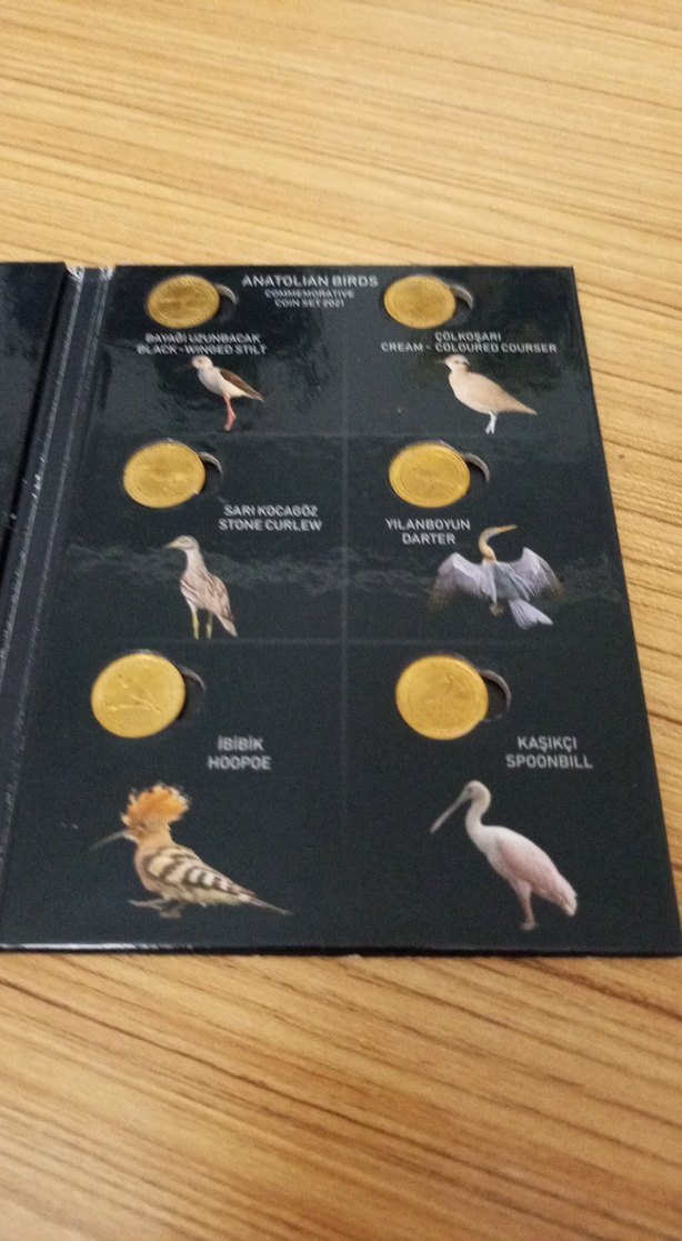 Anadoluya Özgü Kuşlar Hatıra Para Seti 2021 - Görsel 3