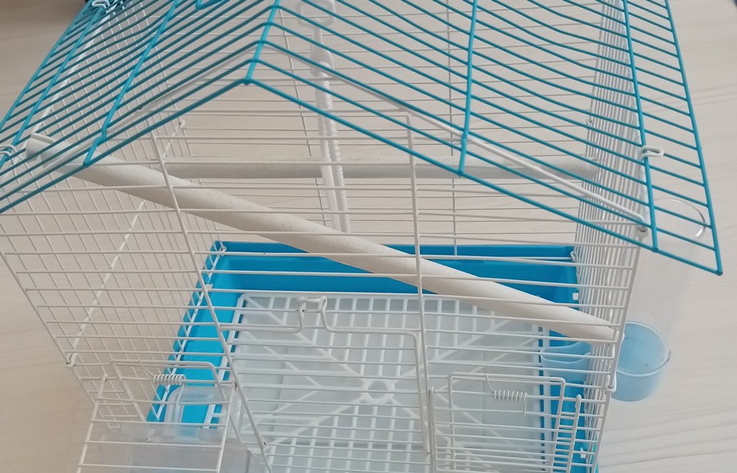 Mavi Kuş Kafesi - Görsel 2