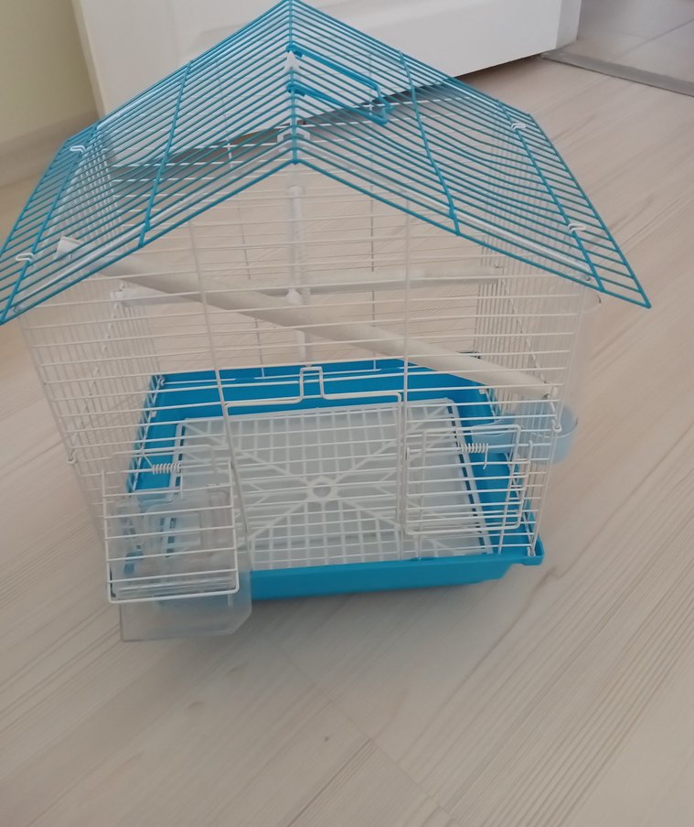 Mavi Kuş Kafesi - Görsel 3