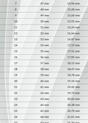 Beden çeşitli Renk 925 Ayar Gümüş - 4 mm Bombeli Alyans