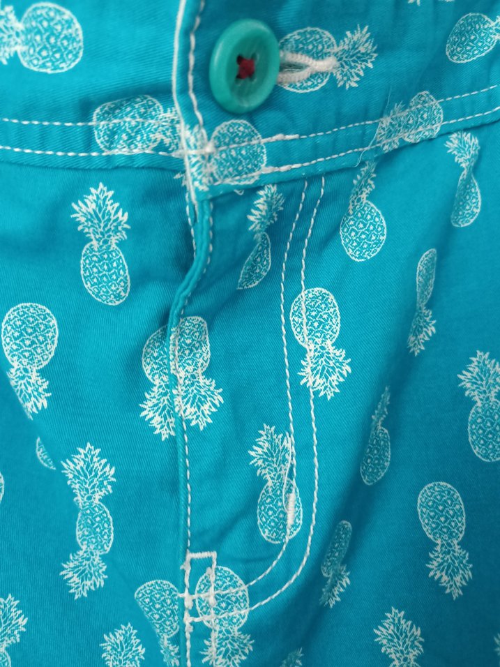 Mavi ananas desenli erkek şort - Görsel 3