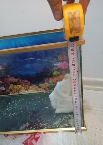 Beden Renk Akvaryum Tankı