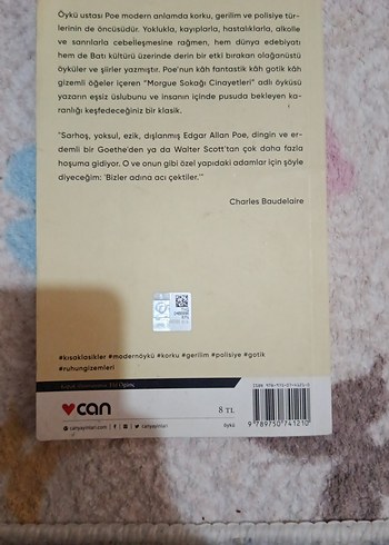 Edgar Allan Poe - Morgue Sokağı Cinayetleri - Görsel 2