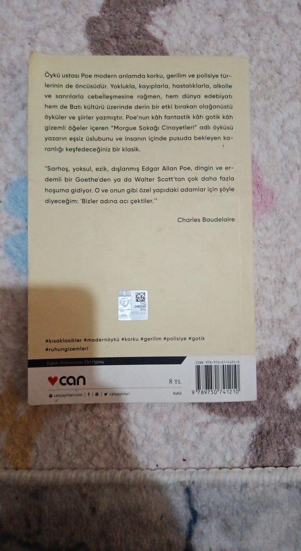 Edgar Allan Poe - Morgue Sokağı Cinayetleri - Görsel 2