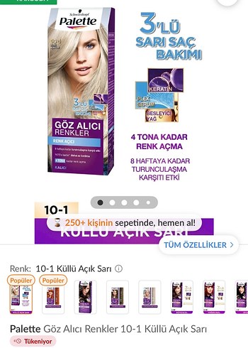 Palette 10-1 Gümüş Saç Boyası ve mor  Şampuan seti - Görsel 9