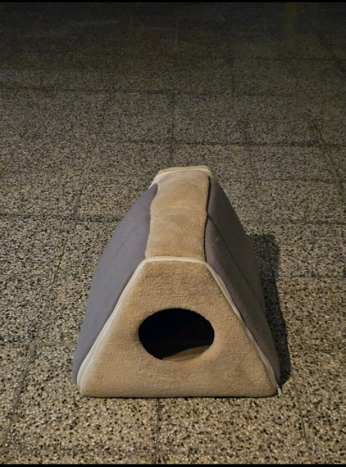 Gri Kedi Evi - Görsel 3