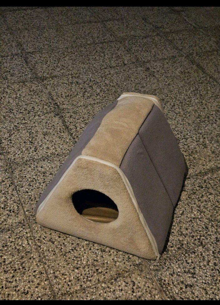 Gri Kedi Evi - Görsel 4