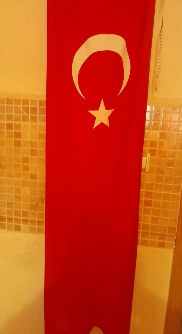 Türk Bayrağı - Görsel 2