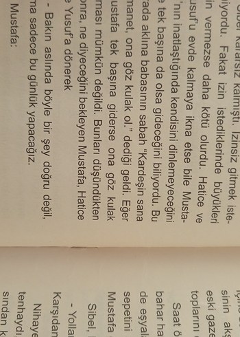 Piknik - Çocuk Kitabı - Görsel 2