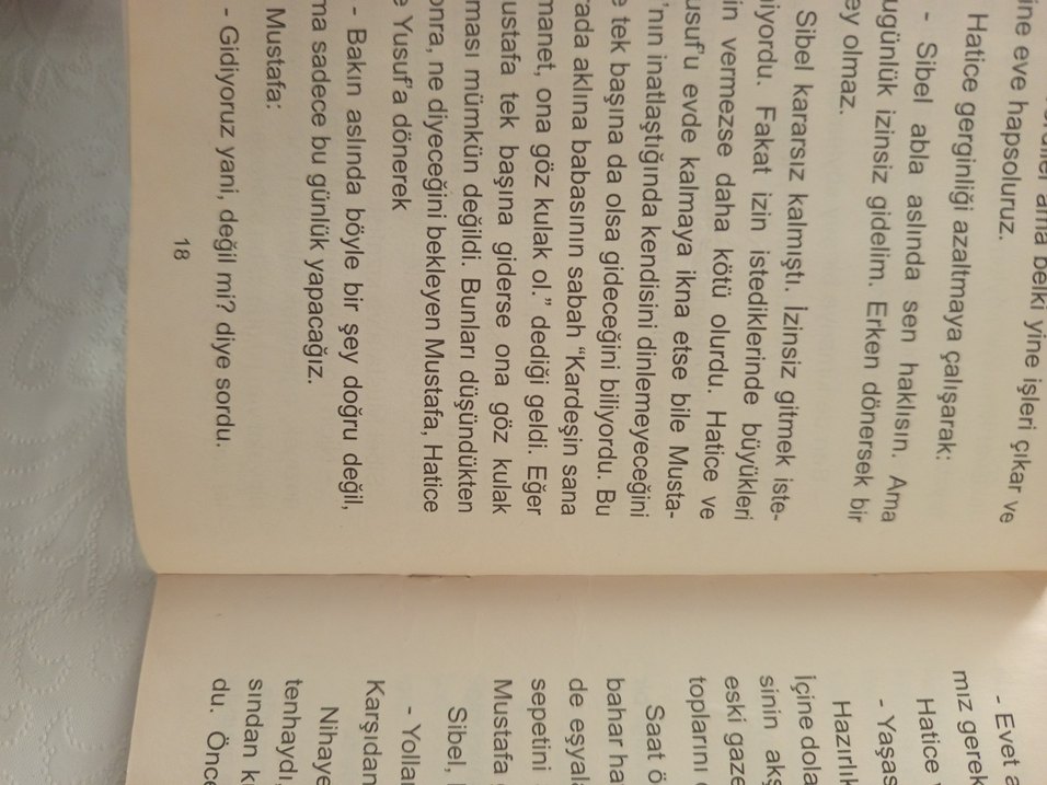 Piknik - Çocuk Kitabı - Görsel 2