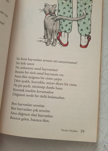 Sen Islık Çalmayı Bilir Misin? - Necdet Neydim - Görsel 2