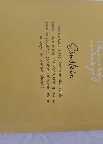 Einstein Mizah Kitabı - Piero Domenico Bacchlario - Görsel 3