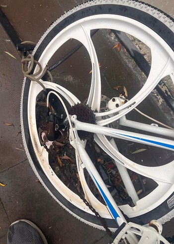 Beyaz Gri İki Tekerlekli Bisiklet - Görsel 4