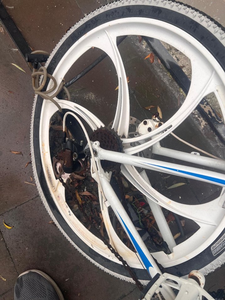 Beyaz Gri İki Tekerlekli Bisiklet - Görsel 4