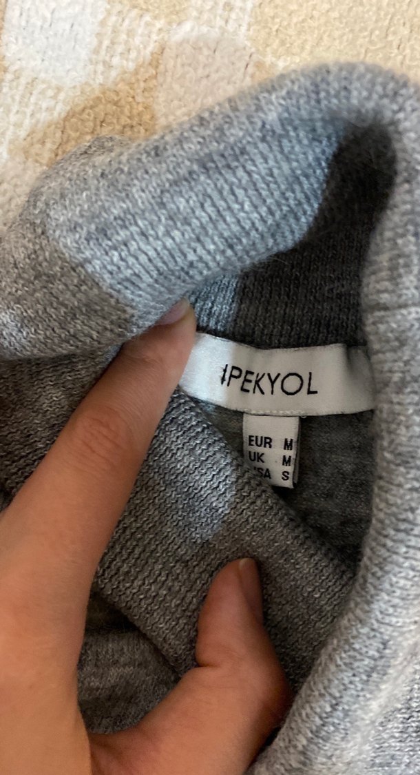 Gri Boğazlı Kazak - Görsel 3