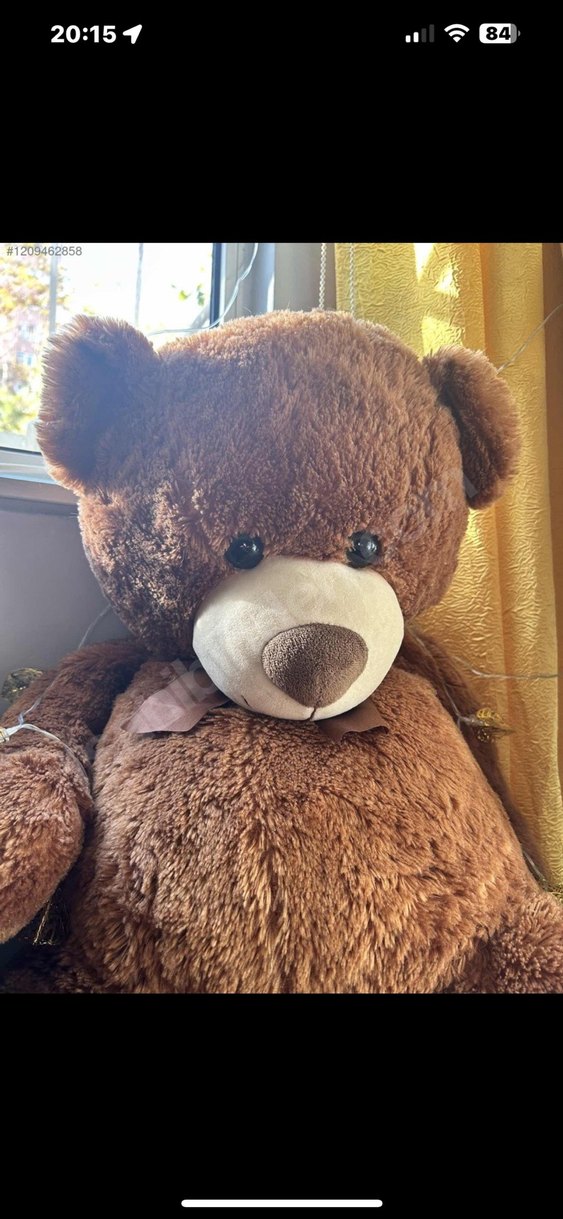 Koyu Kahverengi Peluş Oyuncak Ayı - Görsel 2