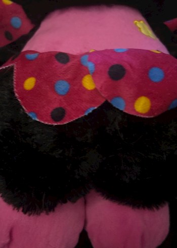 Pembe-siyah Uğur Böceği Kostümlü Bebek - Görsel 4