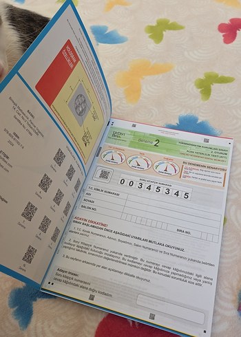  Beden Renk AYT ve TYT Türkçe Deneme Kitapları Seti