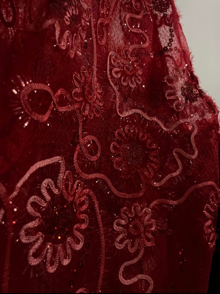 Kırmızı vintage Nakışlı Uzun bindallı - Görsel 5