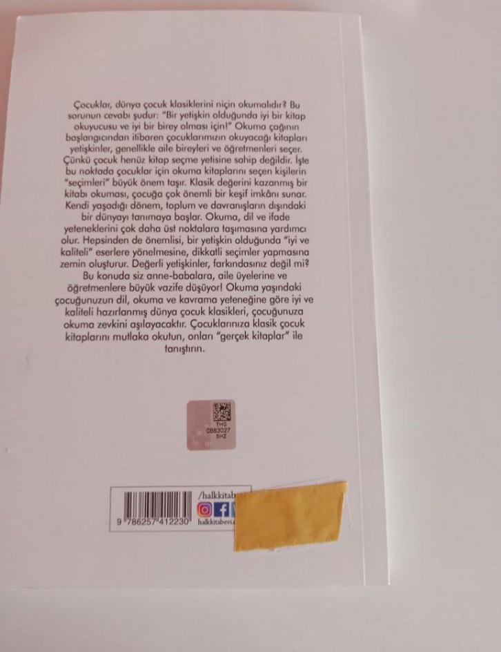 Pollyanna - Eleanor H. Porter - Görsel 2