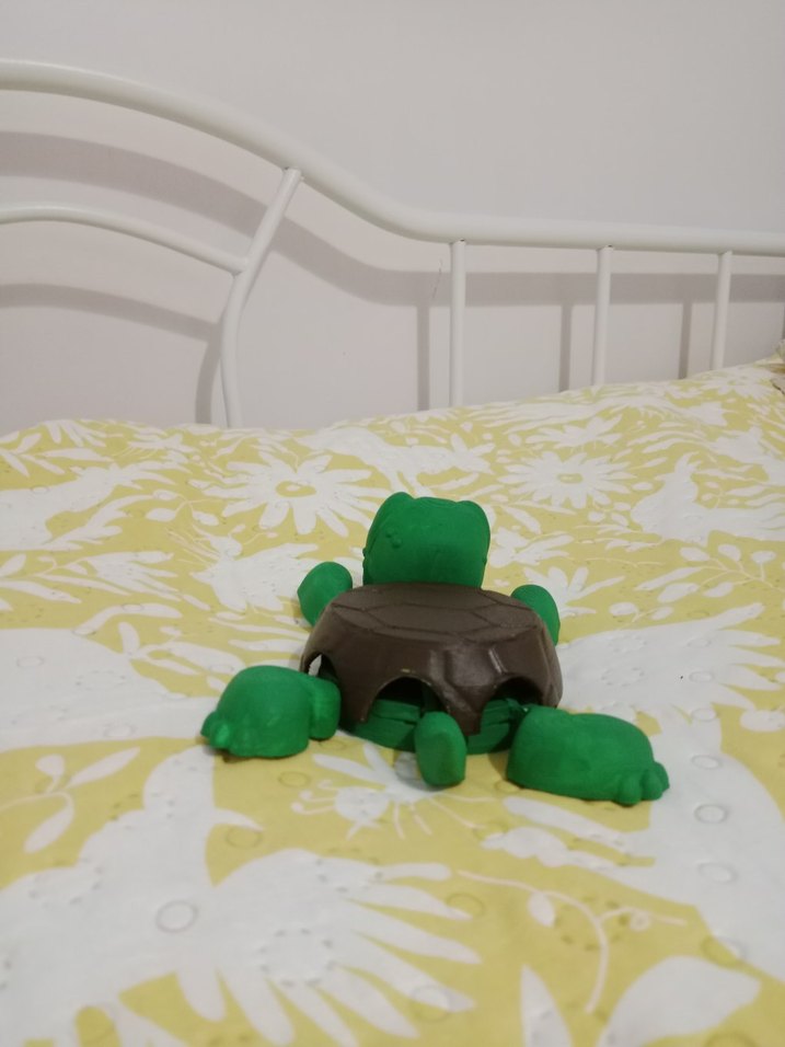 3D BASKILI KAPLUMBAĞALI BARDAK ALTLIĞI - Görsel 3