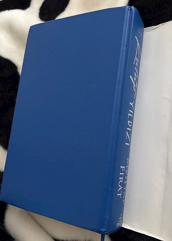 Kutup Yıldızı - Mehtap Fırat - Görsel 5