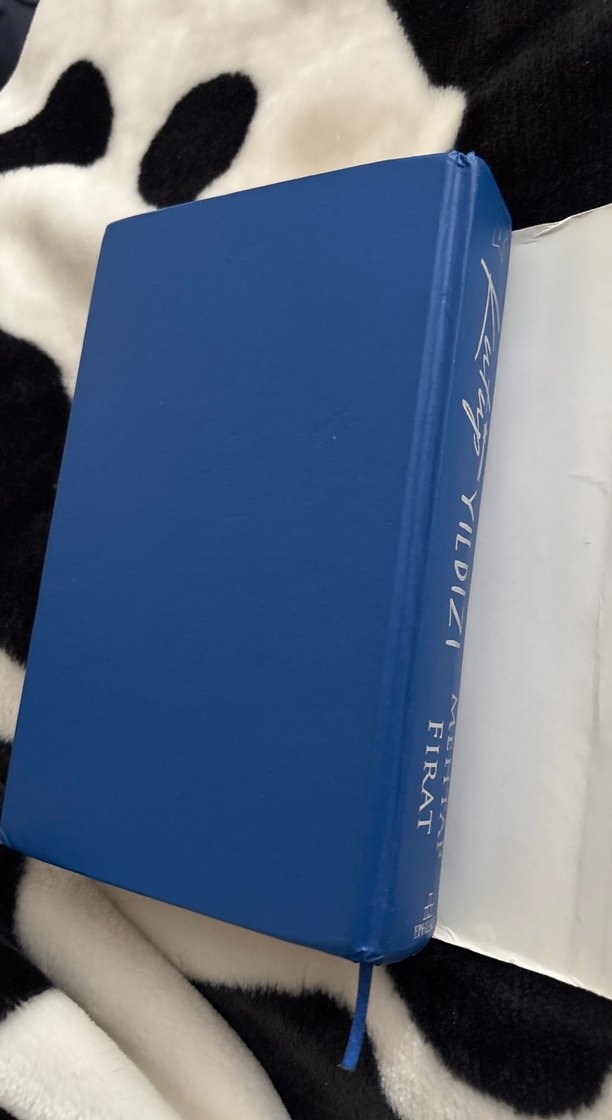 Kutup Yıldızı - Mehtap Fırat - Görsel 5