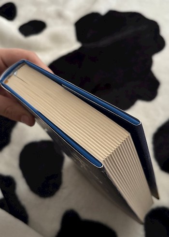 Kutup Yıldızı 3 - Mehtap Fırat - Görsel 4