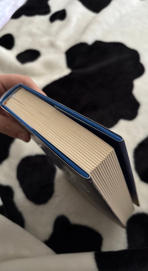 Kutup Yıldızı 3 - Mehtap Fırat - Görsel 4