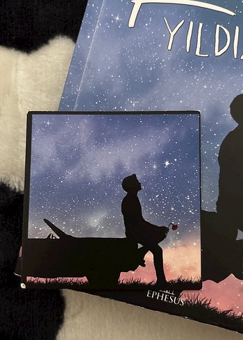 Kutup Yıldızı 2 - Mehtap Fırat - Görsel 5