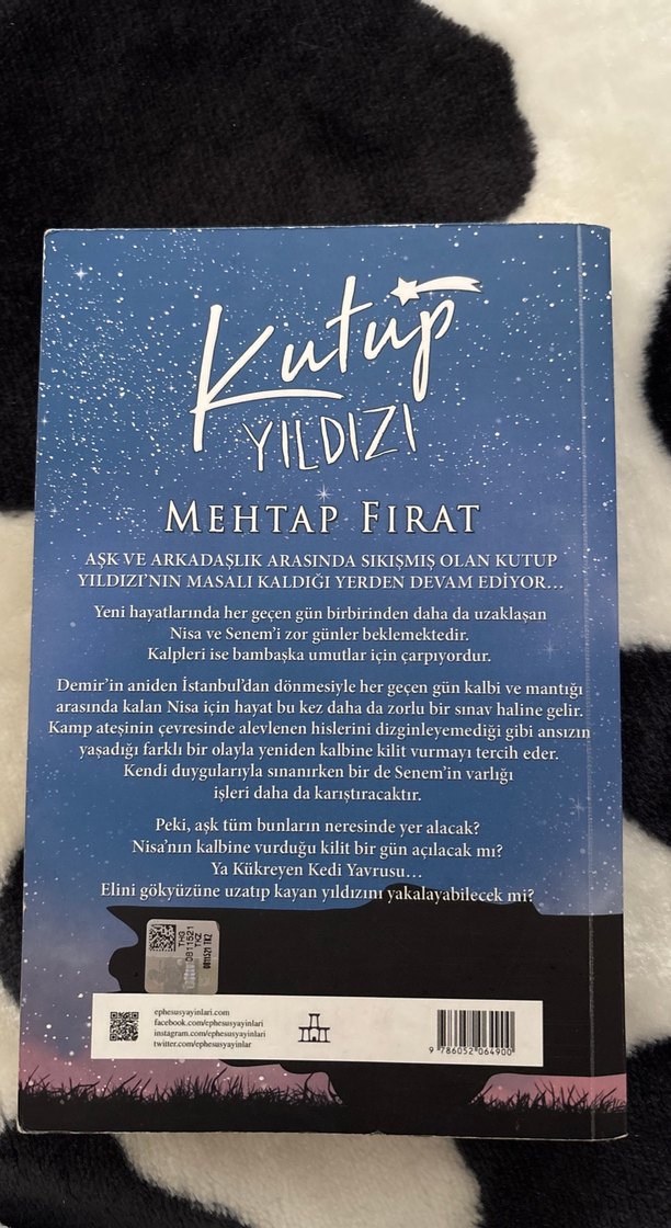 Kutup Yıldızı 2 - Mehtap Fırat - Görsel 2