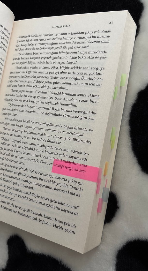 Kutup Yıldızı 2 - Mehtap Fırat - Görsel 4