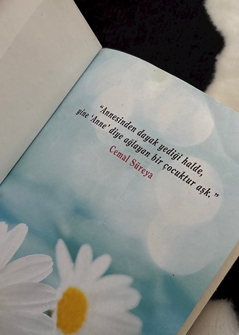 Papatya Kokulu Hikayeler - Kokulu Kitap - Görsel 3