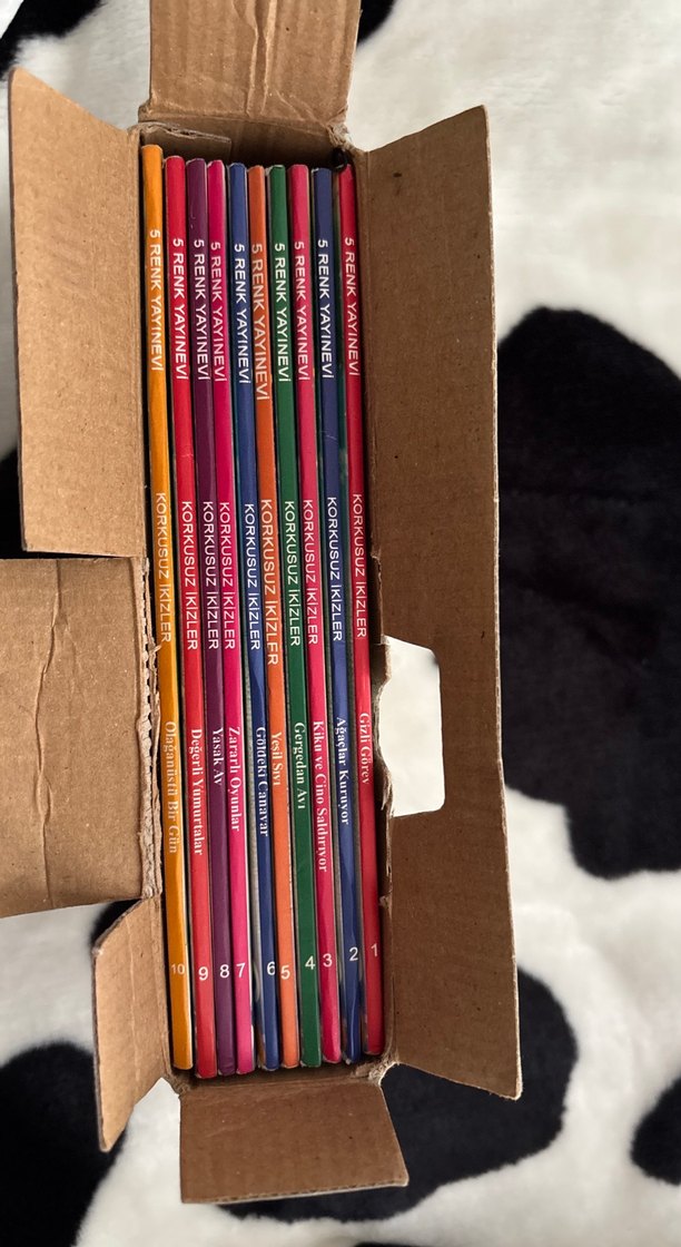 Korkusuz İkizler Çocuk Kitabı Seti - Görsel 3