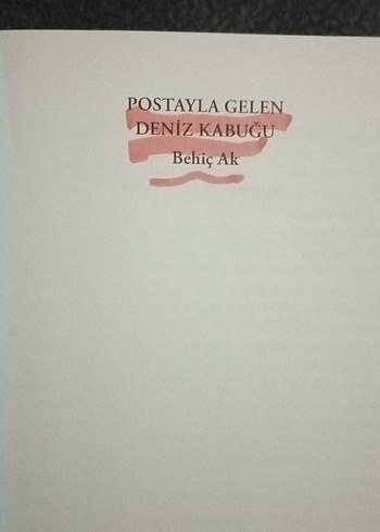  Beden Postayla Gelen Deniz Kabuğu - Behiç Ak