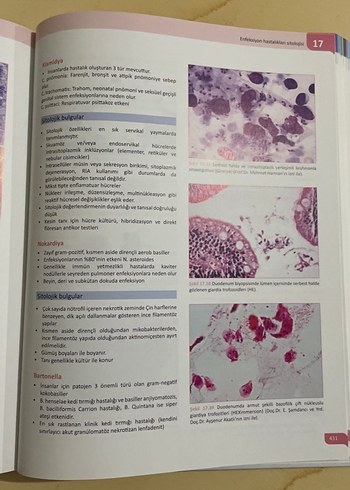 Beden Sitopatoloji Kitabı - Prof. Dr. Binnur Önal
