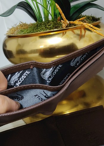 Lacoste Erkek Kahverengi Baskılı Cüzdan - Görsel 5