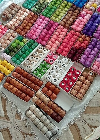  Domino 8 ve 12