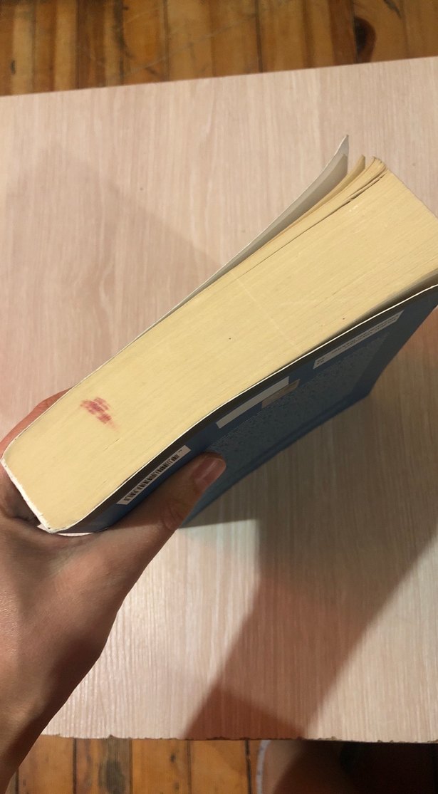 Kafkasya'da Siyaset - Çatışma Ortamı ve Taraf Güçler - Görsel 4