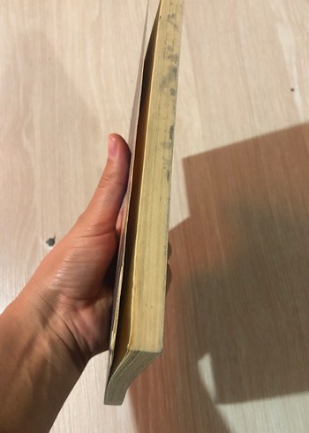 HAARP Kıyamet Teknolojisi - Aydoğan Vatandaş - Görsel 4