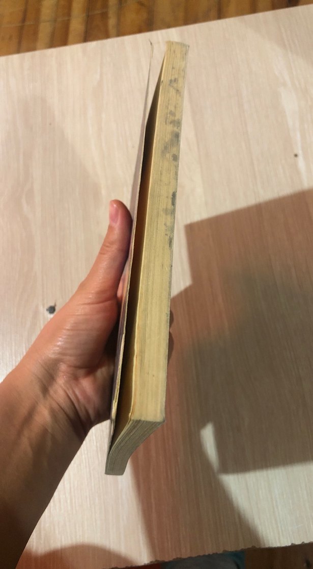 HAARP Kıyamet Teknolojisi - Aydoğan Vatandaş - Görsel 4