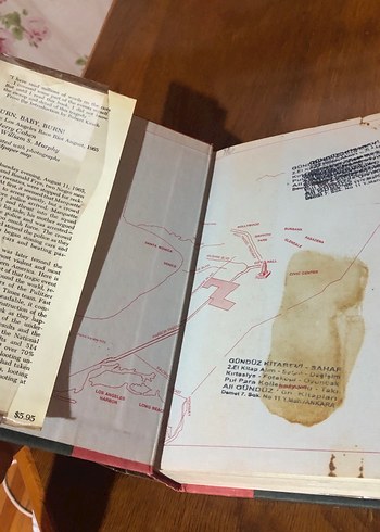 Burn, Baby, Burn! - The Los Angeles Race Riot, August 1965 - Görsel 4